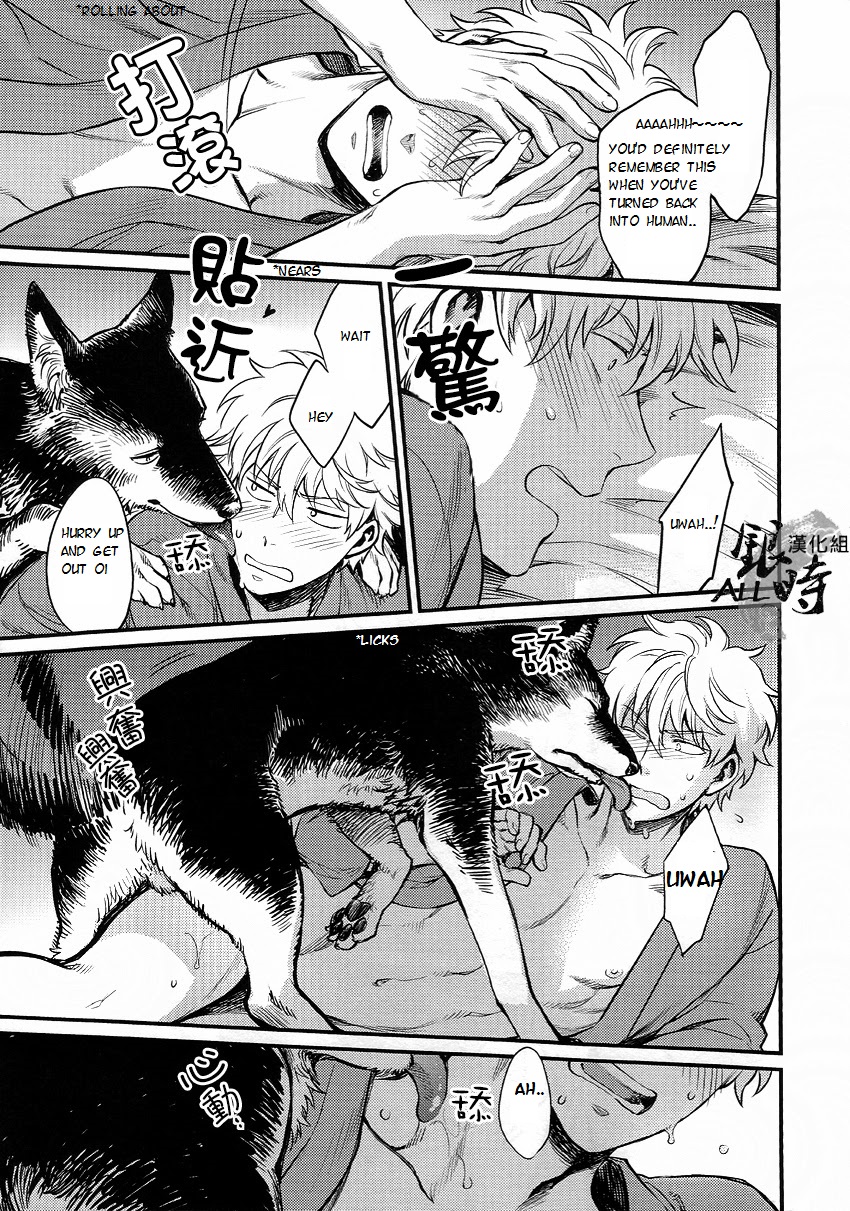 (HARUCC18) [3745HOUSE、鉄火G (ミカミタケル、貼)] HOW to SPOIL YOUR DOG (銀魂) [英訳]