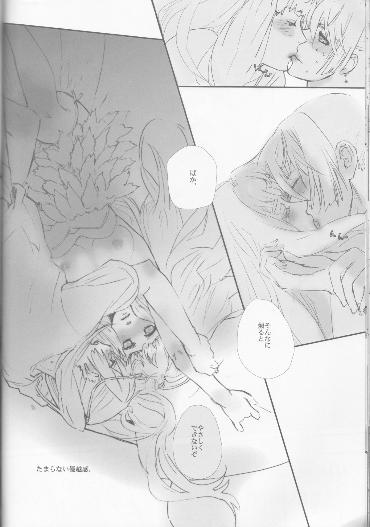 (SUPER21) [mixed breed (ちゃね)] desire to monopolize (マクロスFRONTIER)