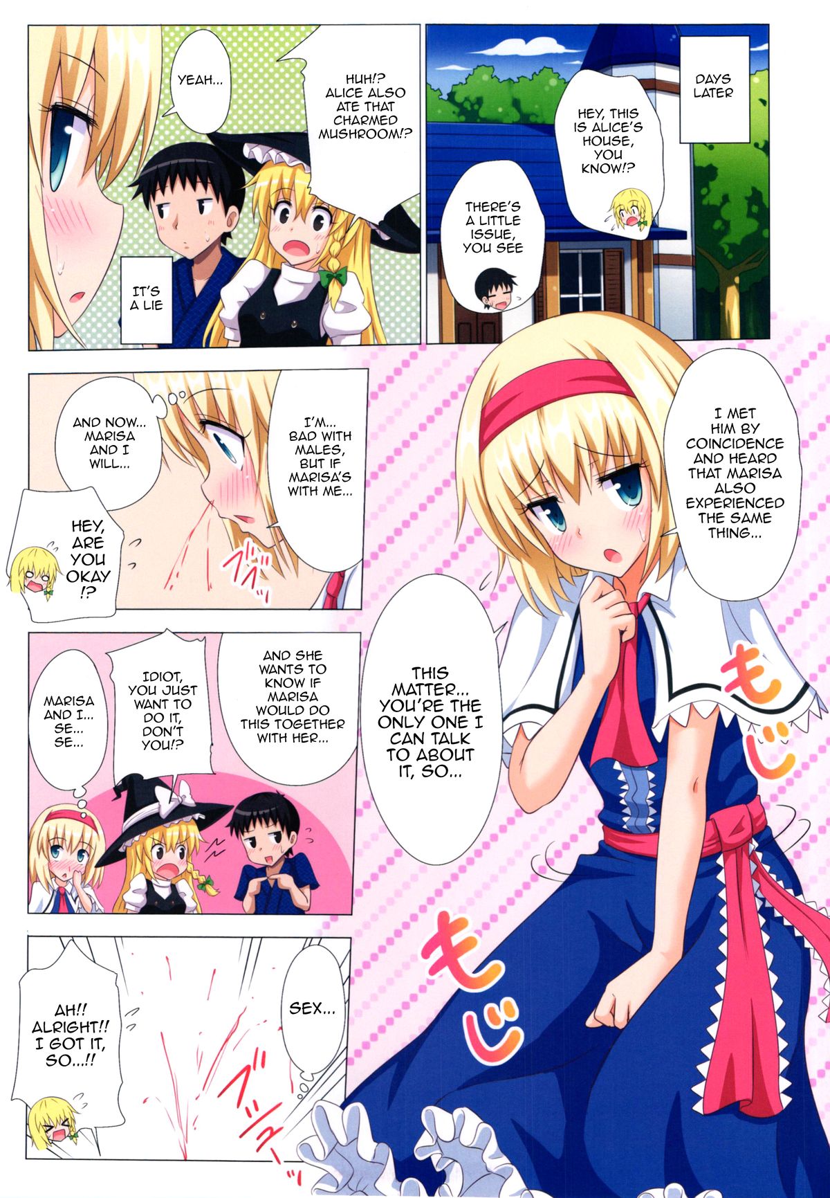 (C87) [かみか堂 (銀曜ハル)] 幻想郷楽園化計画 14 (東方Project) [英訳]