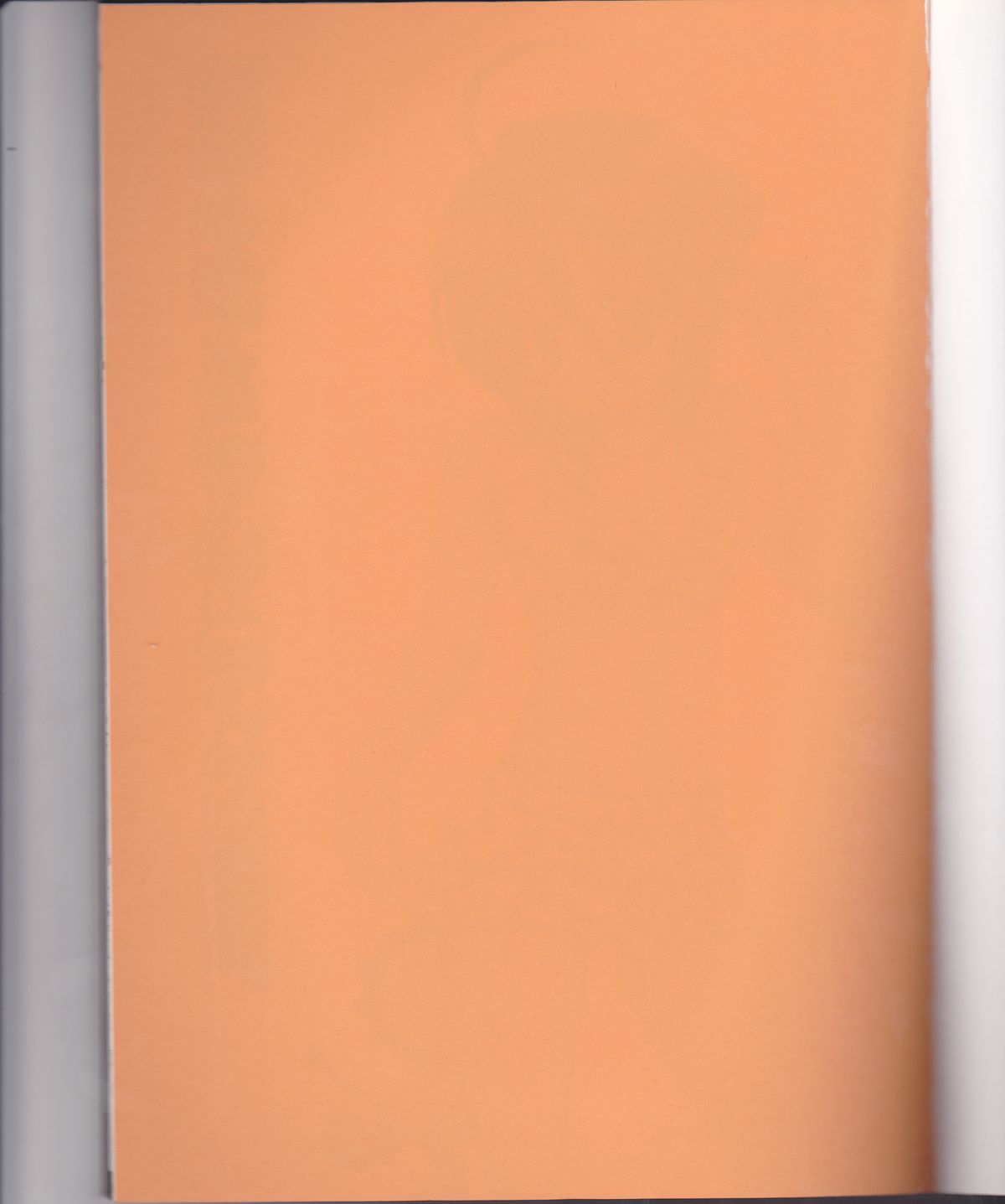 (C70) [ぽんちーず(仮) (彩羽スイ)] 朽木ルキアミニマムマニアックス通信。 (ブリーチ)