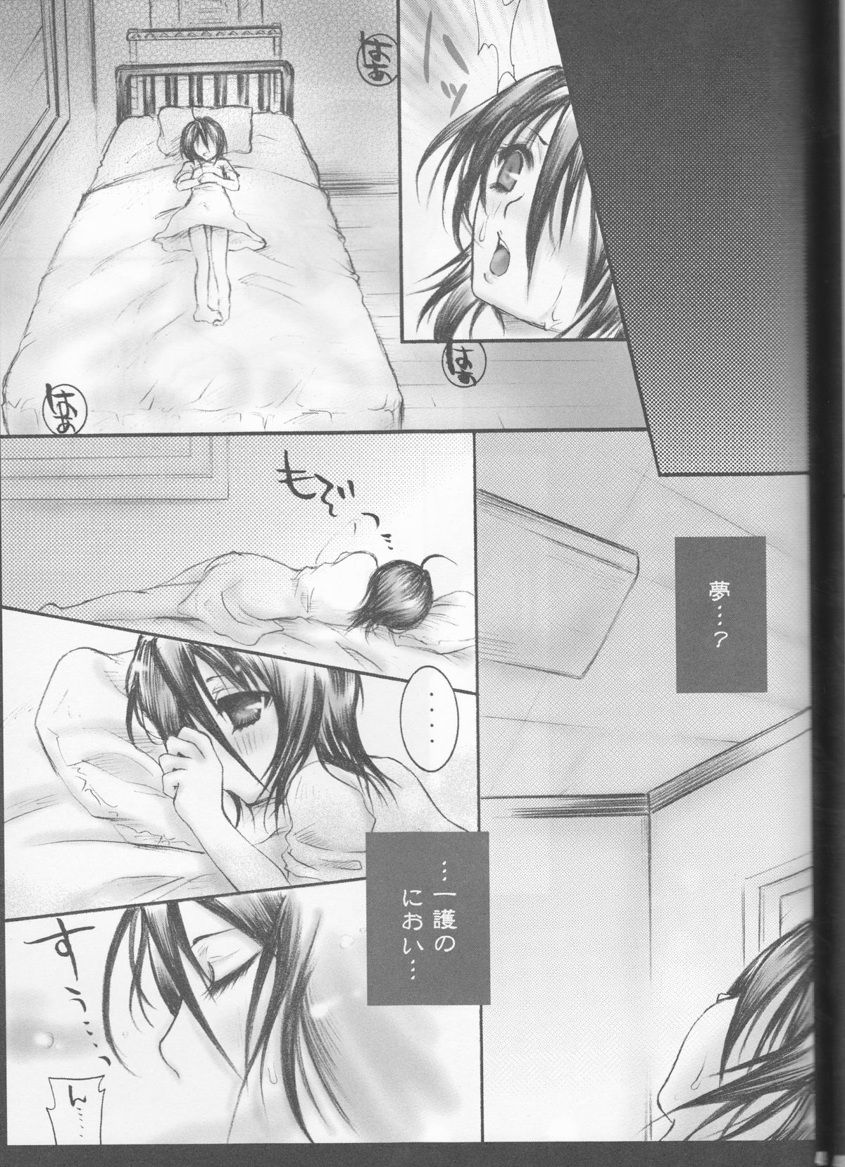 (C70) [ぽんちーず(仮) (彩羽スイ)] 朽木ルキアミニマムマニアックス通信。 (ブリーチ)