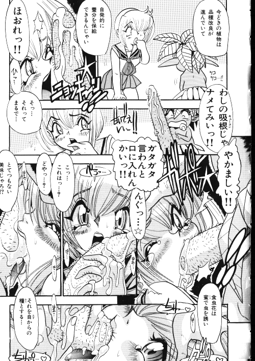 [御魚三角] メイドさん計画