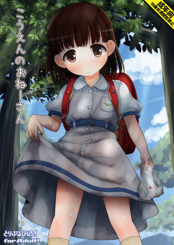 [とりぷるぴんち! (ひかみいずと)] こうえんのおねーさん [DL版]