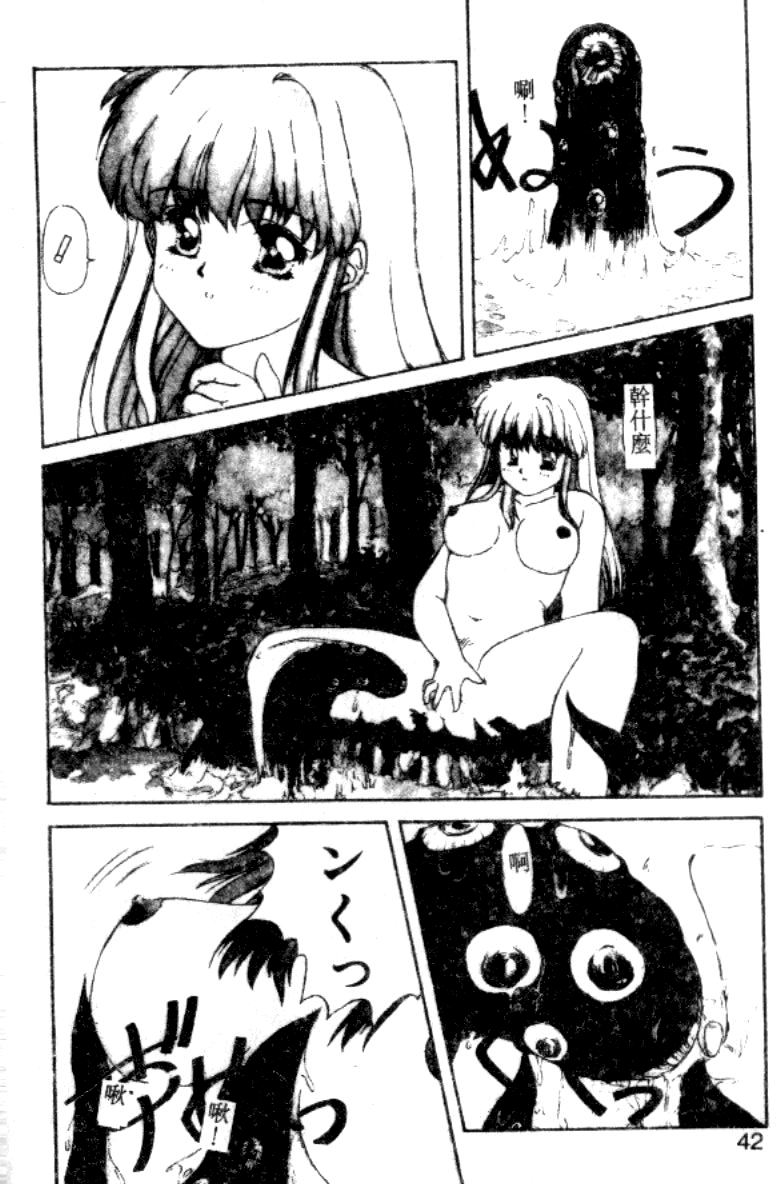 [にしき義統] FAIRY COUNTER（HME）[中国翻訳]