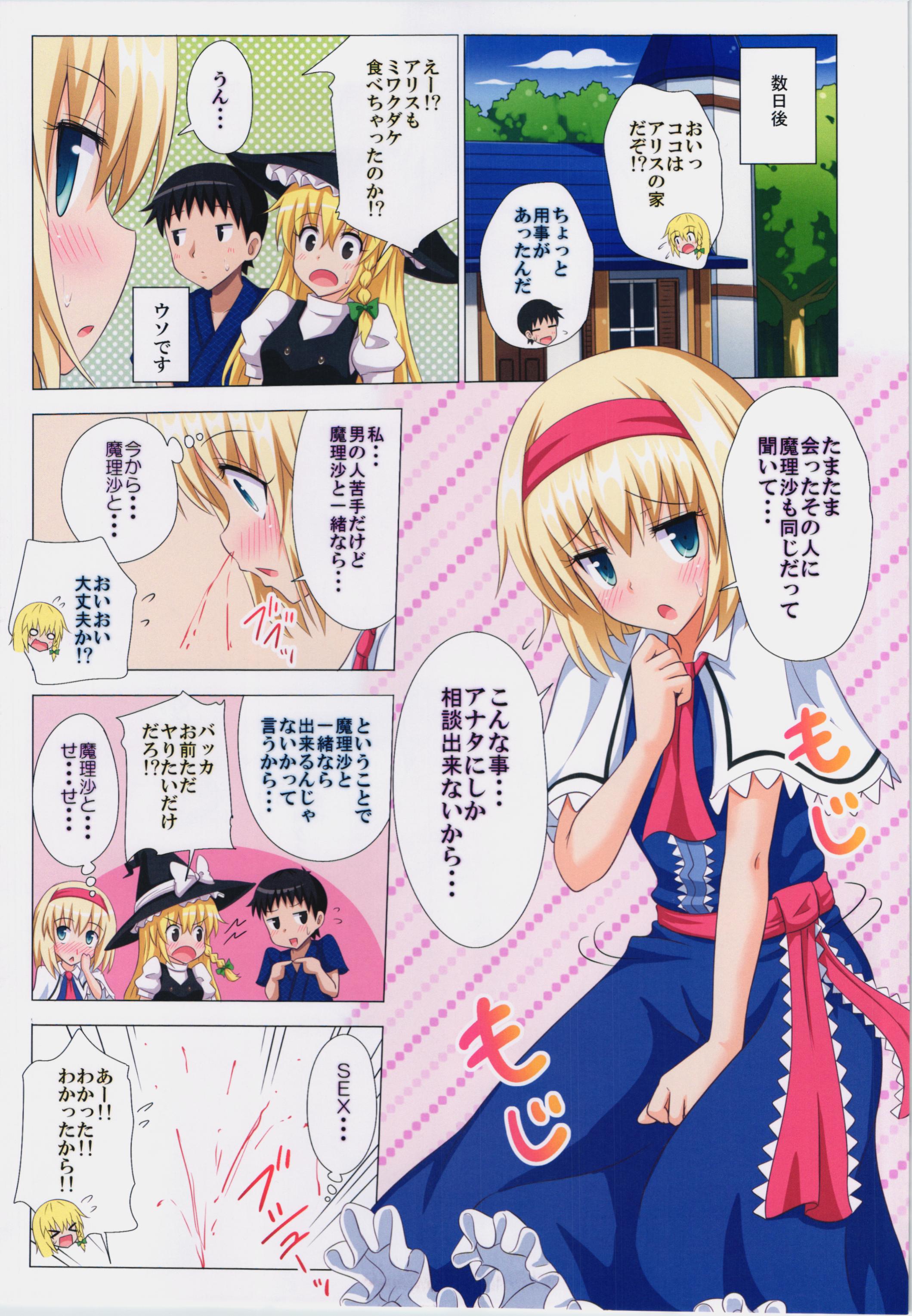 (C87) [かみか堂 (銀曜ハル)] 幻想郷楽園化計画 14 (東方Project)