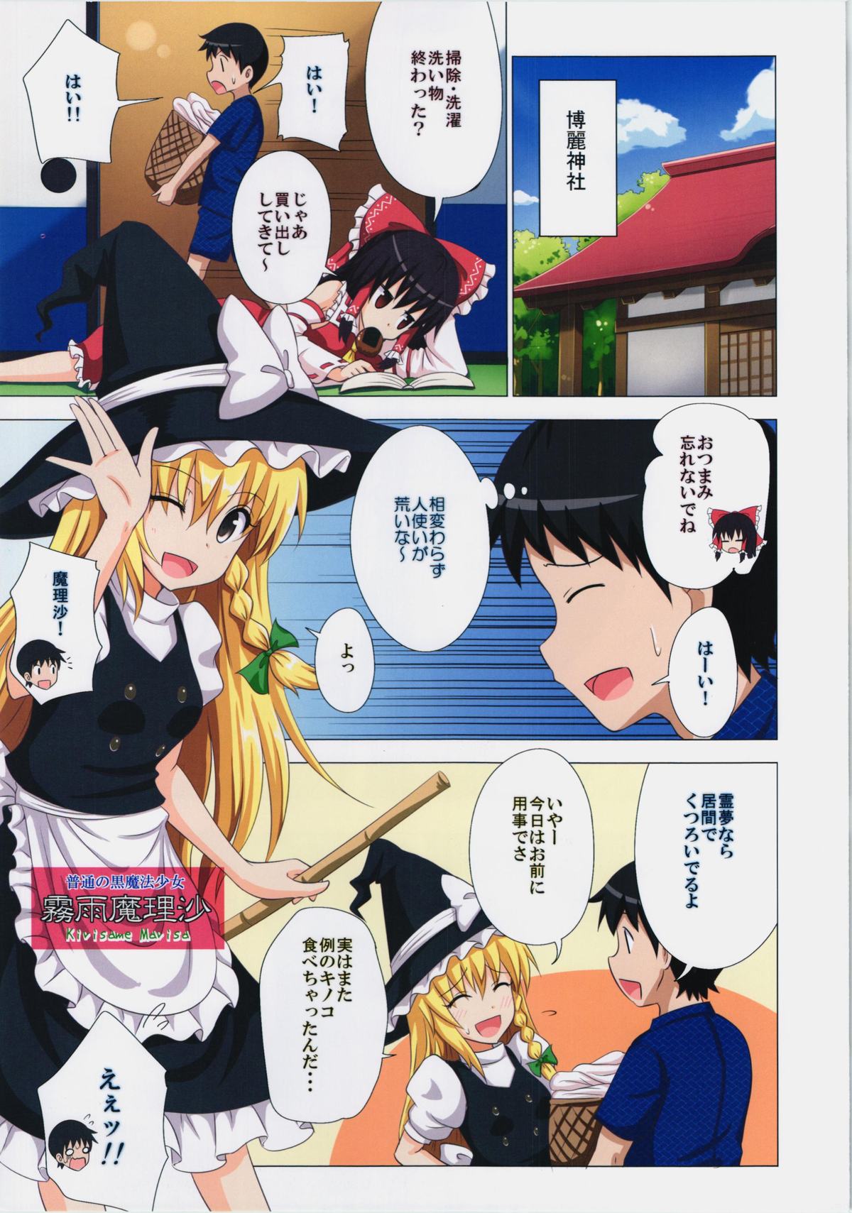 (C87) [かみか堂 (銀曜ハル)] 幻想郷楽園化計画 14 (東方Project)