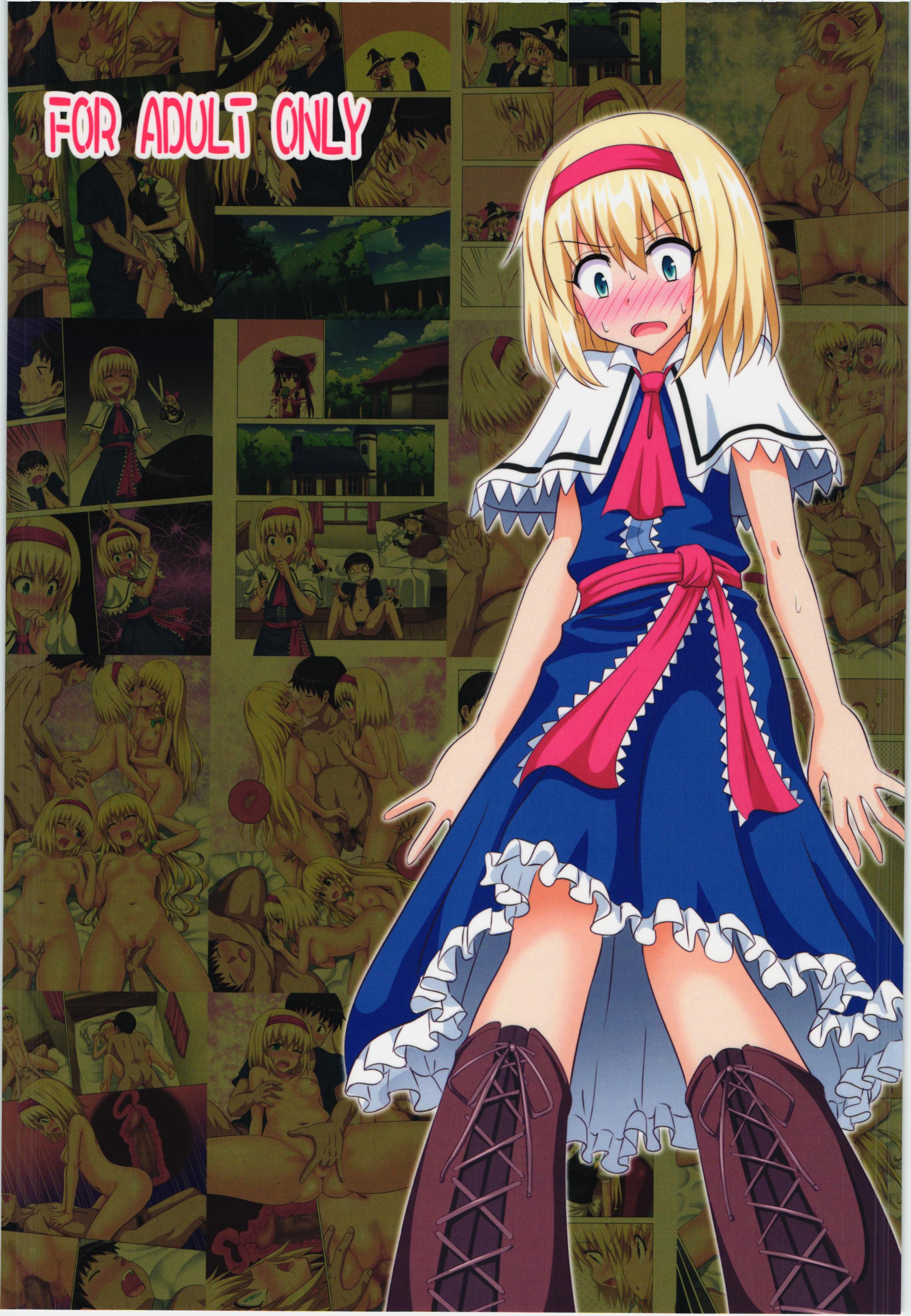 (C87) [かみか堂 (銀曜ハル)] 幻想郷楽園化計画 14 (東方Project)