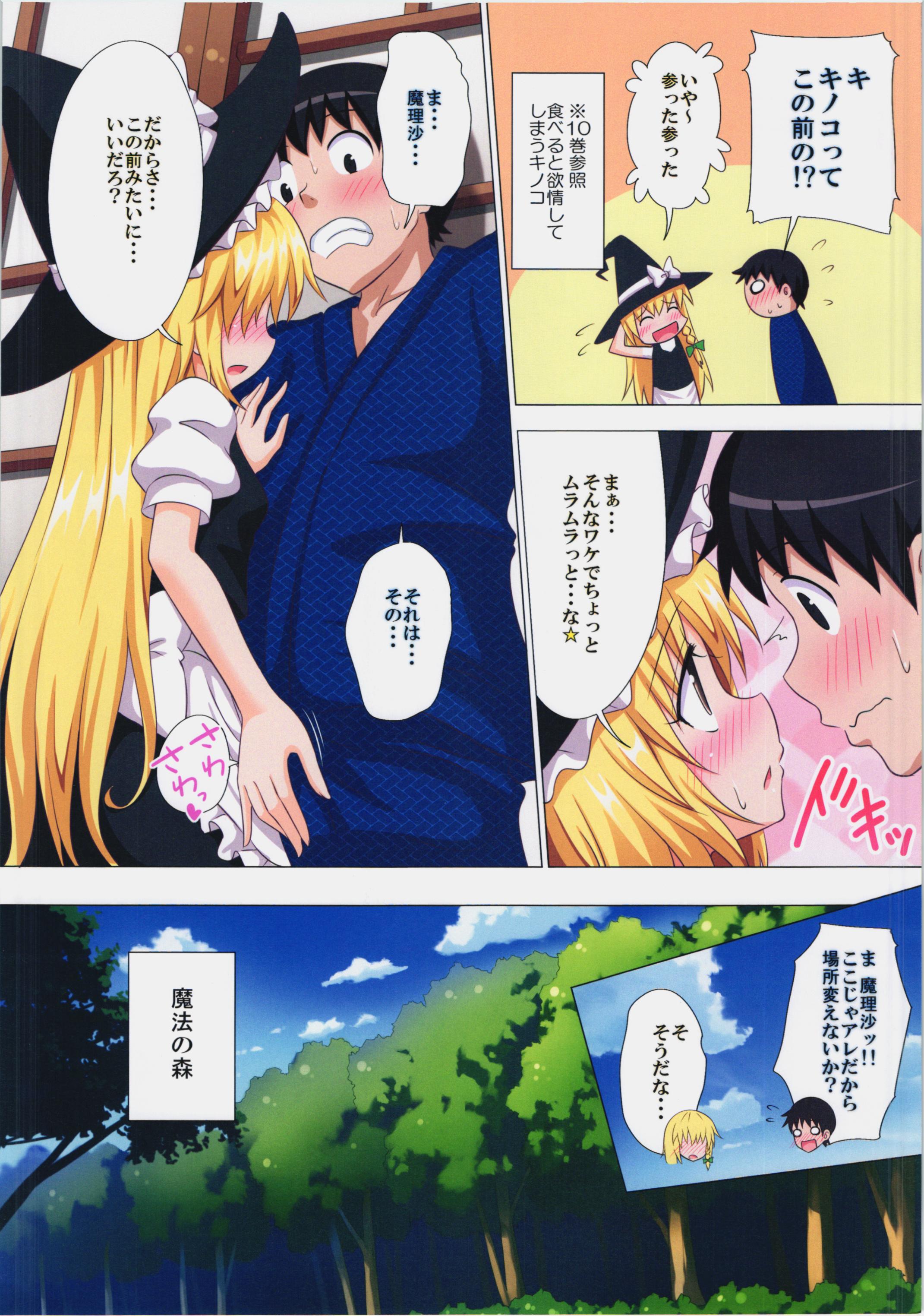 (C87) [かみか堂 (銀曜ハル)] 幻想郷楽園化計画 14 (東方Project)