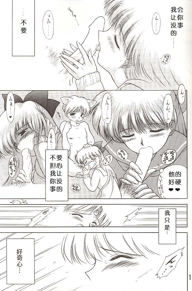 [BLACK DOG (黒犬獣)] Stray Cat (美少女戦士セーラームーン) [中国翻訳]