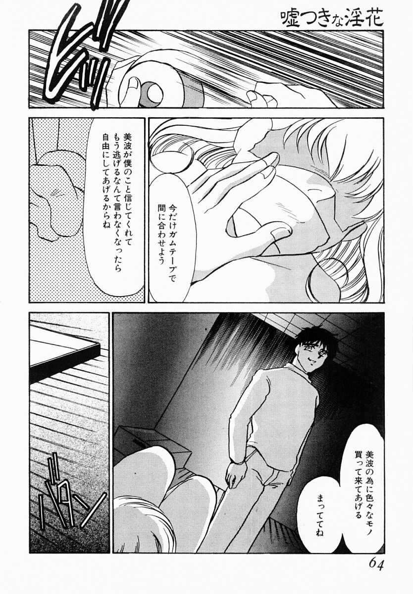 [海野やよい] 嘘つきな淫花