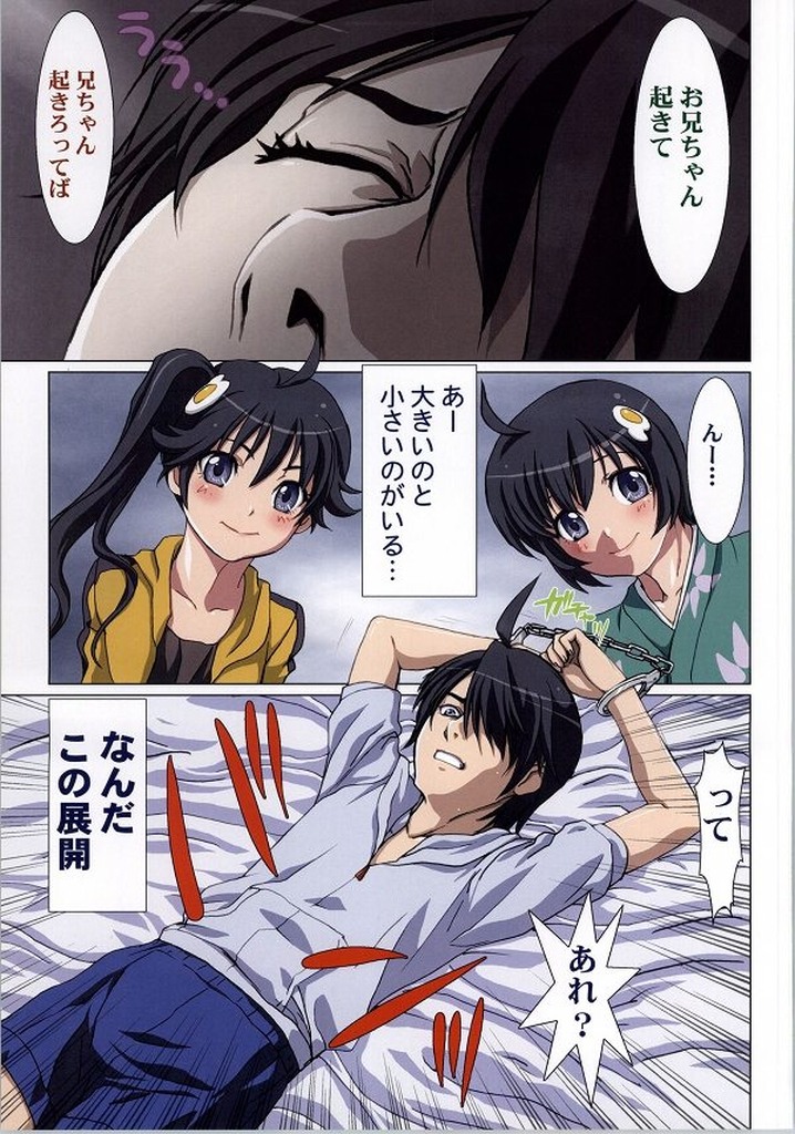 (C86) [STUDIO PAL (南野琴)] まとめた物語・壱 (化物語)