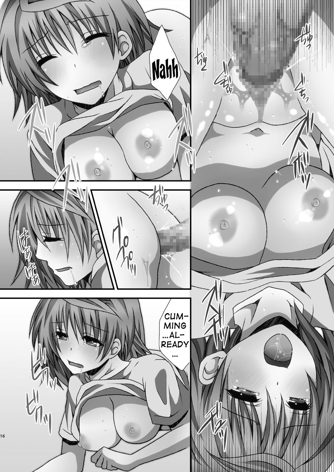[氷月 (百乃木富夢)] リコハメ (To LOVEる -とらぶる-) [英訳]
