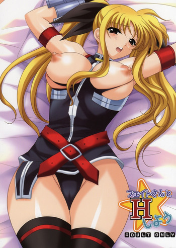 [みけこ堂 (みけこ)] フェイトさんとHしよう (魔法少女リリカルなのは)