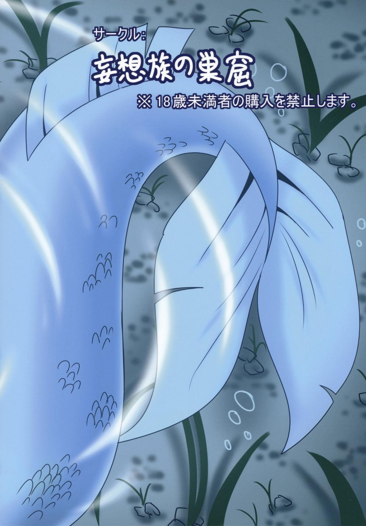 (C87) [妄想族の巣窟 (赤袖)] 一寸法師と人魚姫 (東方Project)