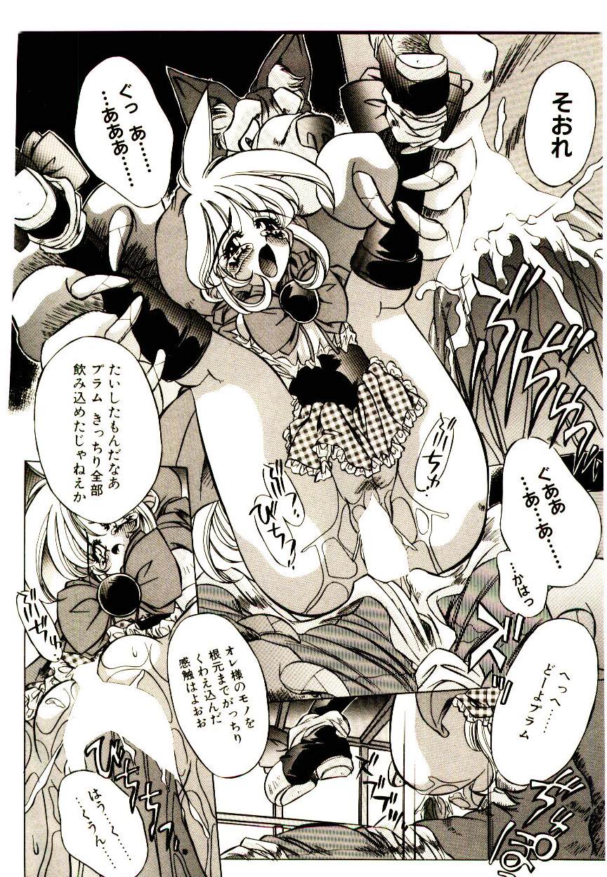 [大輪田泊] Elsie きゅーぴっと！