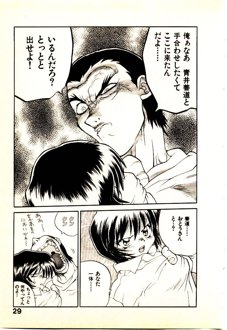 [山本賢治] 正拳シンデレラ