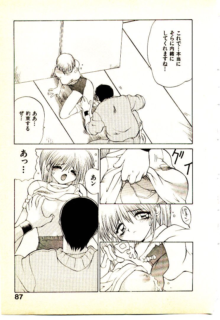 [山本賢治] 正拳シンデレラ