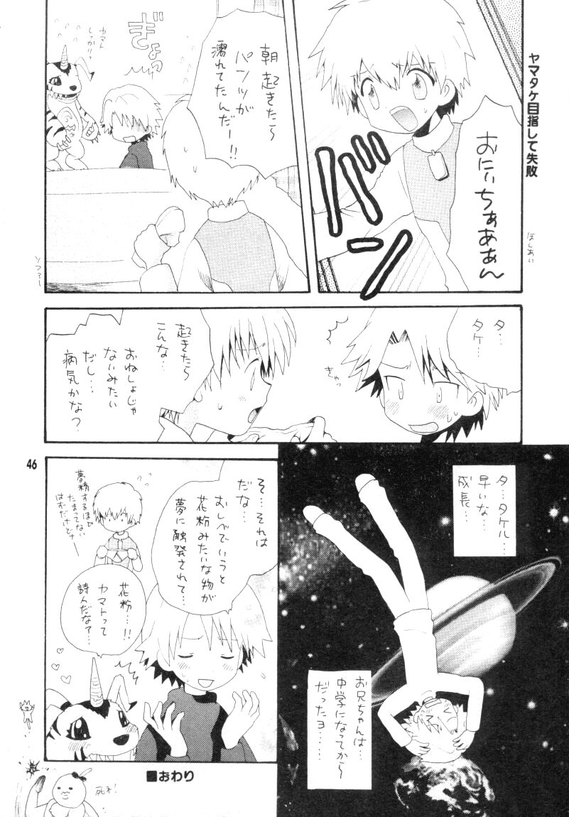 (CC東京96) [ハニワマニア、くるぐるDNA (ポン貴花田、星逢ひろ)] ぼくらのジョグレスワールド (デジモンアドベンチャー02)