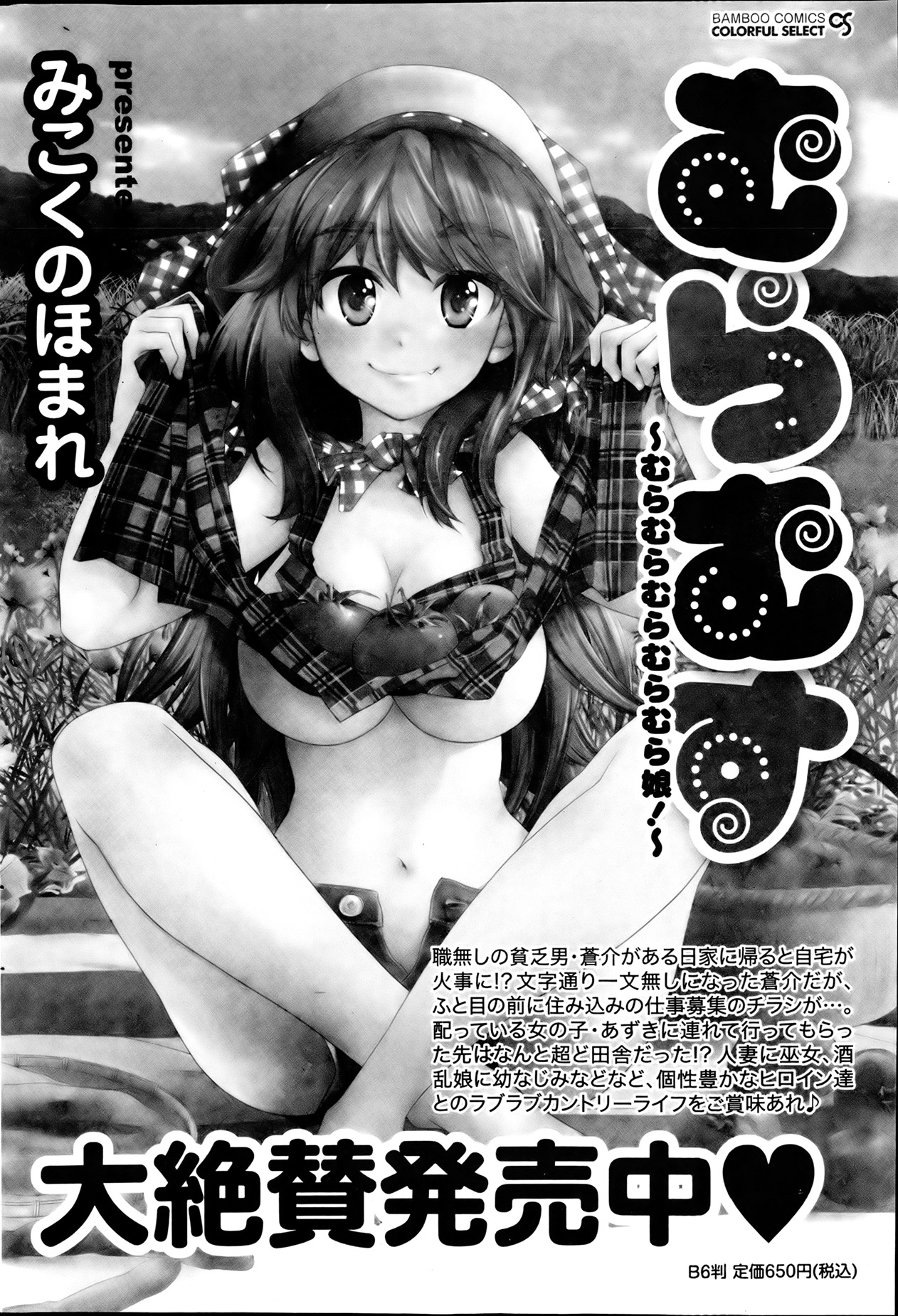月刊 ビタマン 2013年8月号