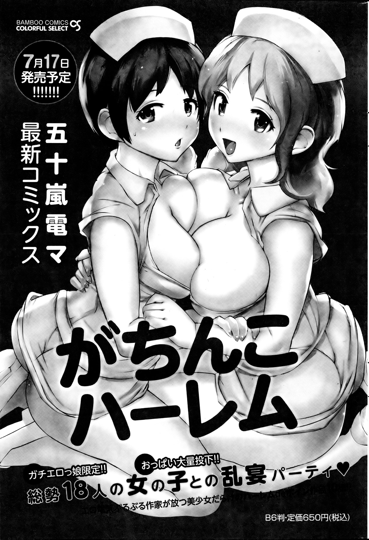 月刊 ビタマン 2013年8月号