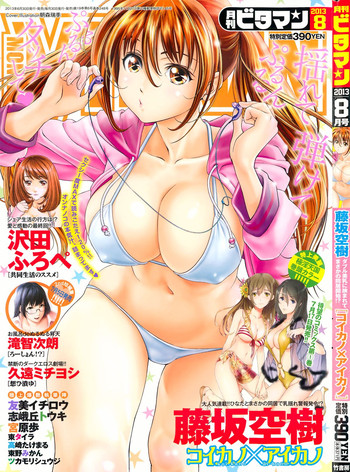 月刊 ビタマン 2013年8月号 月刊 ビタマン 2013年8月号