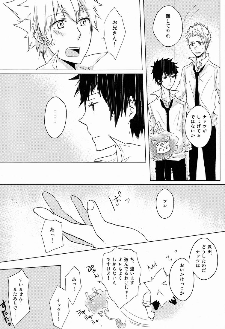 (C80) [Alpenreise (彩乃えな)] 軌跡 (家庭教師ヒットマンREBORN!)