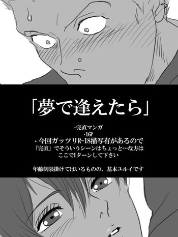 [Nika] 夢で逢えたら (Persona 4)