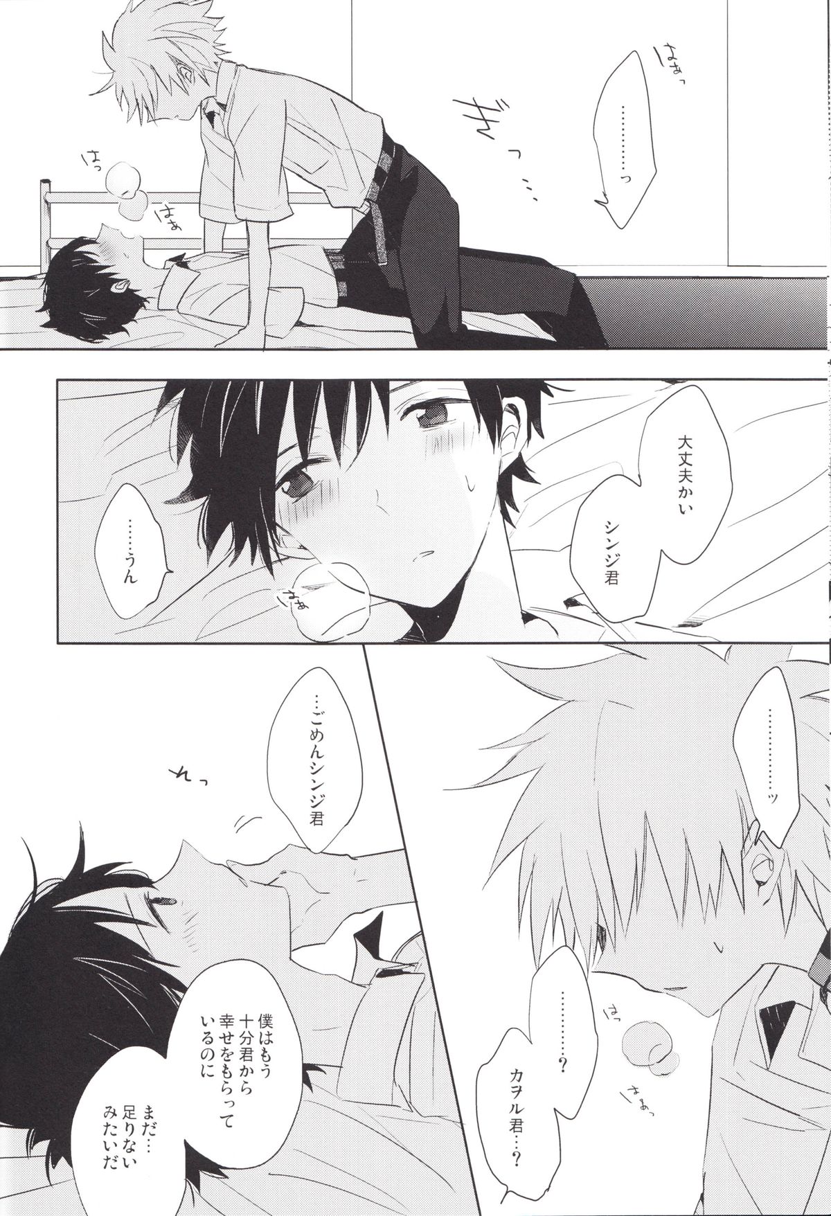 (C83) [解答B (悠月ちと)] 「Q」補完計画 (新世紀エヴァンゲリオン)