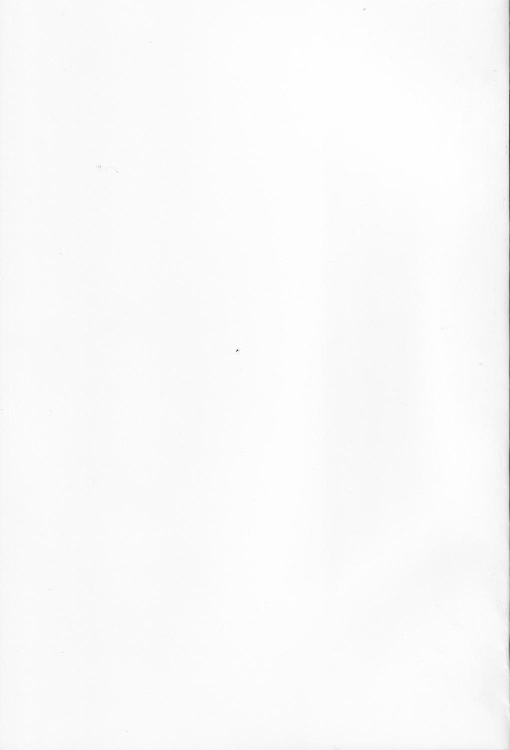 (C83) [Synthetic Garden (美和美和)] Night Ops (ストライクウィッチーズ)