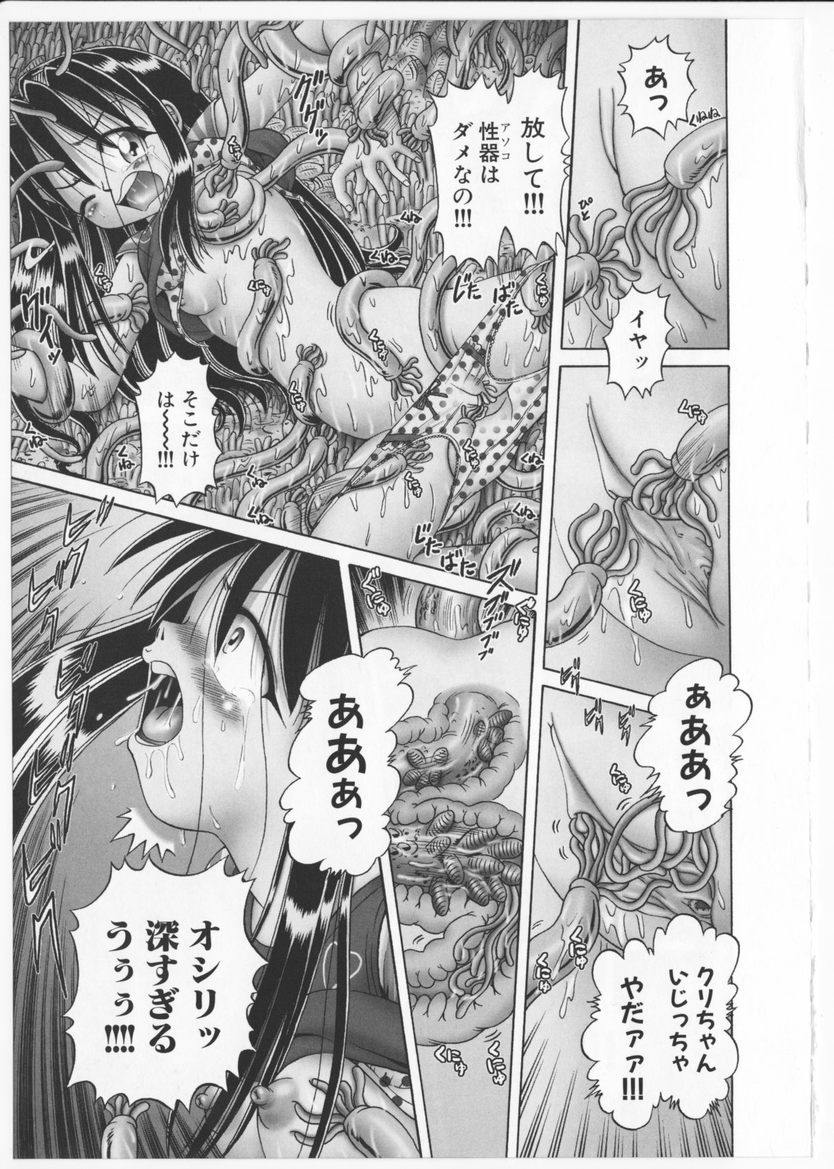 [某零] 秘蜜の花園2 -触手蟲地獄絵巻- + 特別付録小冊子 現役小○生・紗夜 ヒミツの放課後