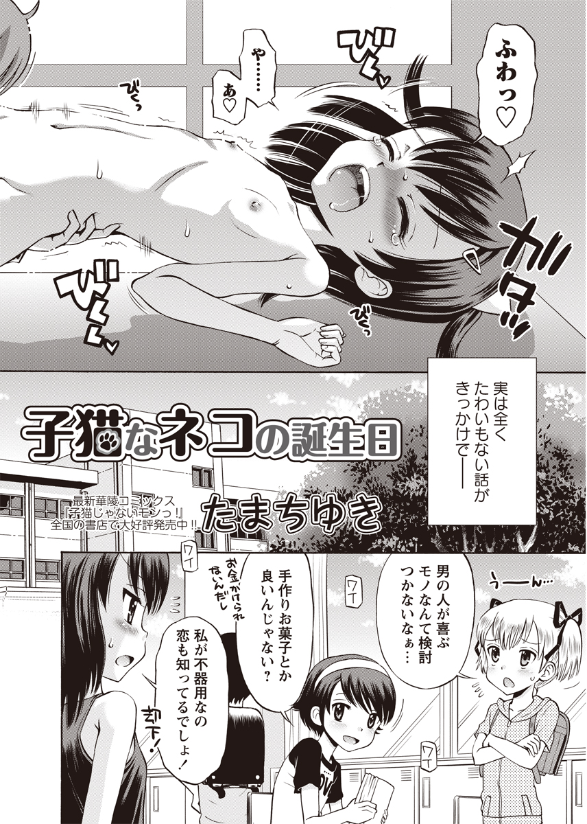 [アンソロジー] 華陵絶対領域 2012年8月号 [DL版]