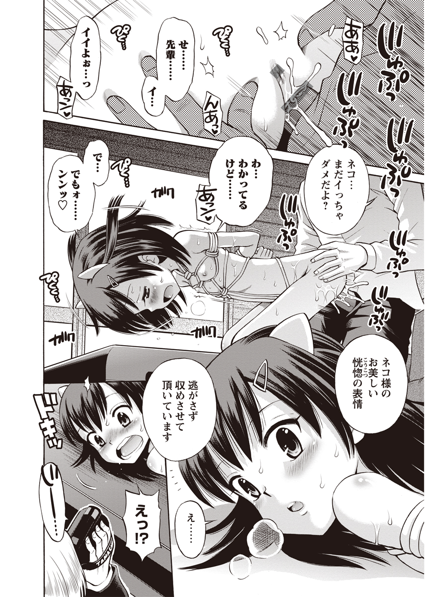 [アンソロジー] 華陵絶対領域 2012年8月号 [DL版]