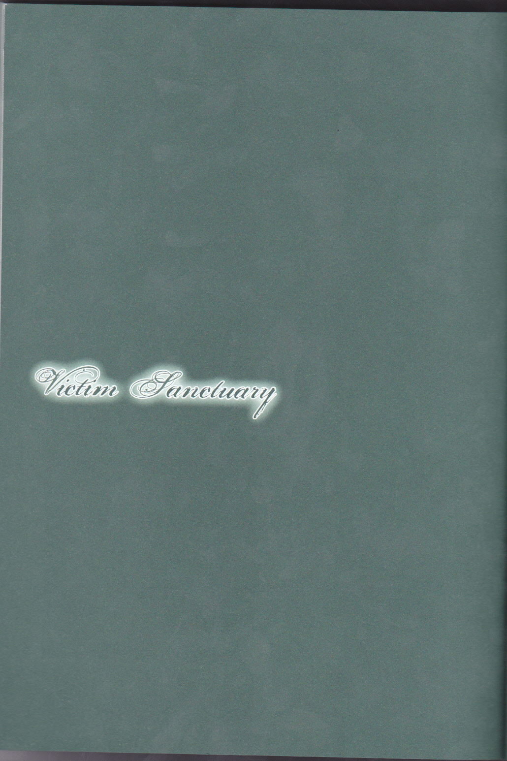 (C75) [蒼イロのえのぐ (鐘井楊)] Victim Sanctuary (遊☆戯☆王5D's)