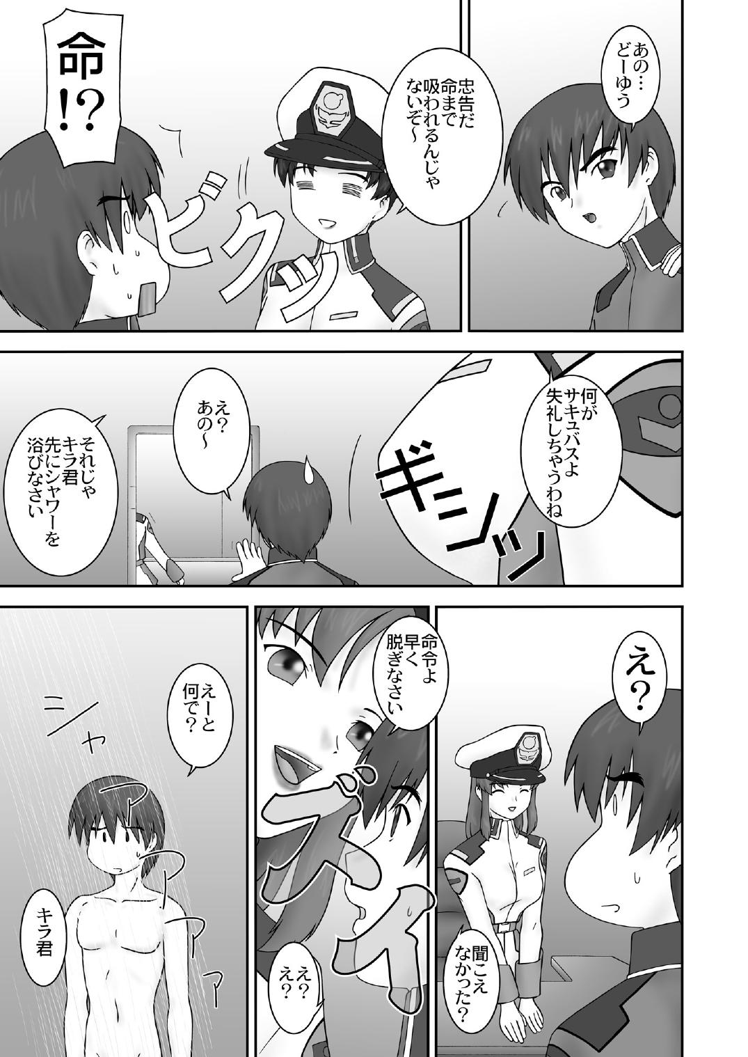 (サンクリ19) [パラミター (S・パラミター)] Ripe (機動戦士ガンダムSEED)