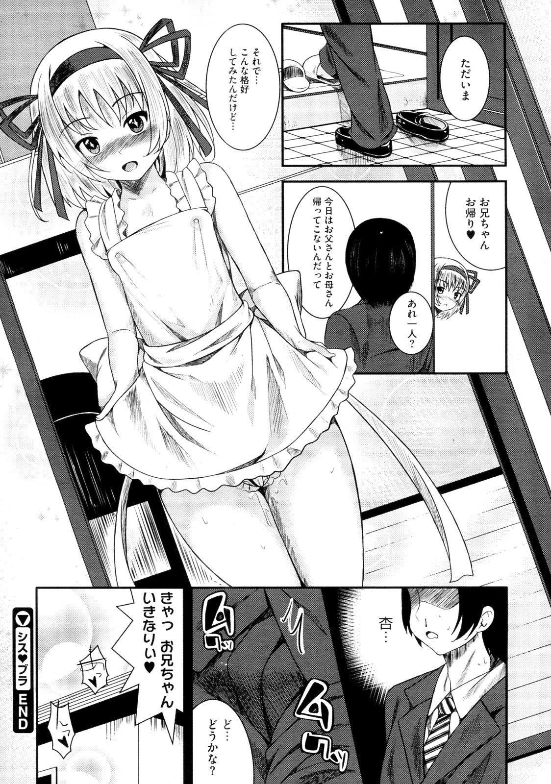 [ふみひこ] シス♥ブラ (コミックメガストア 2012年8月号)