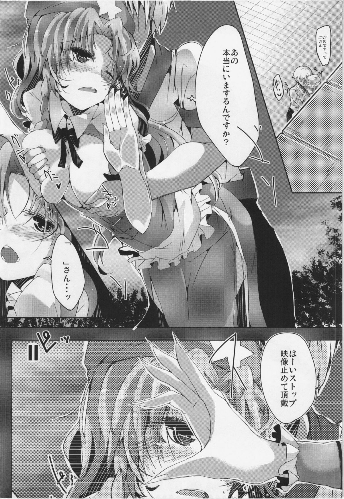 (紅楼夢8) [662KB (拾次)] MEIIPPAI sweet (東方Project)