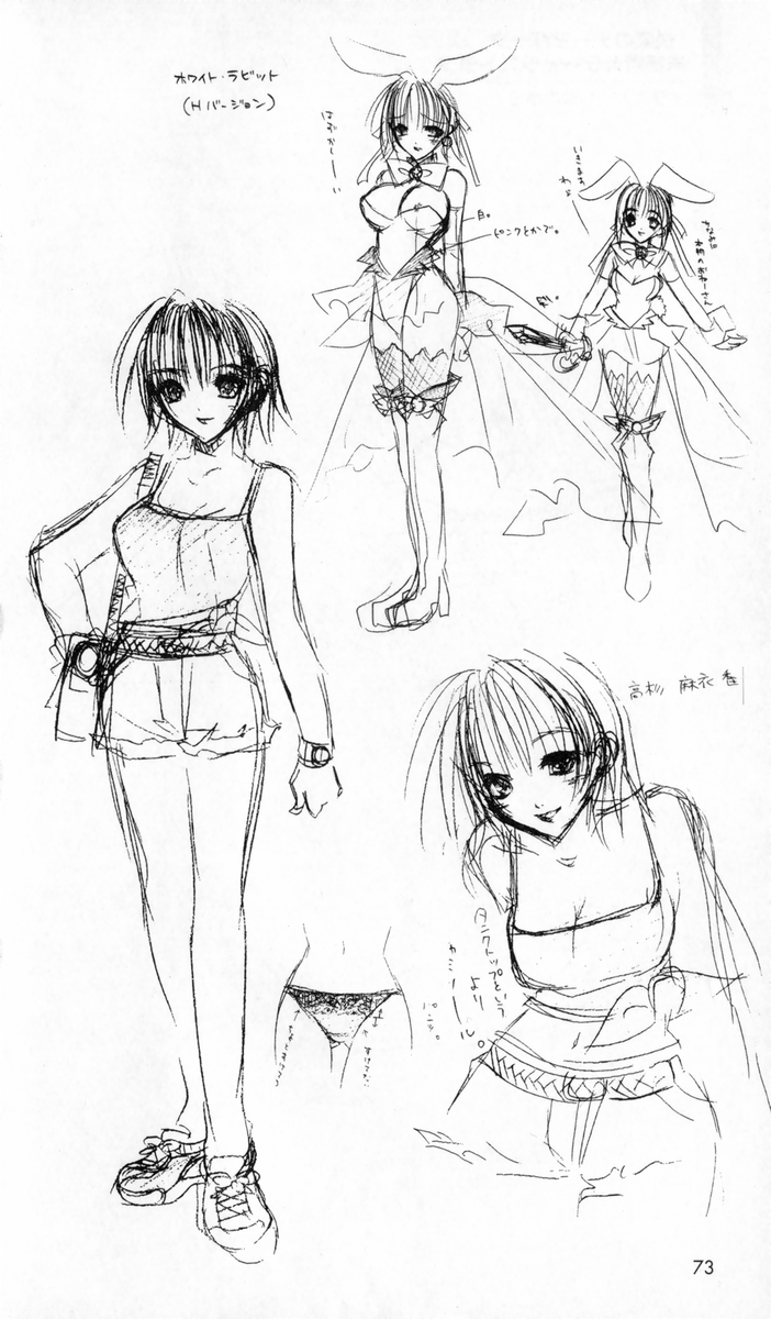 [アンソロジー] 秘蔵イラスト集 (二次元ドリームノベルズ100 記念特典)