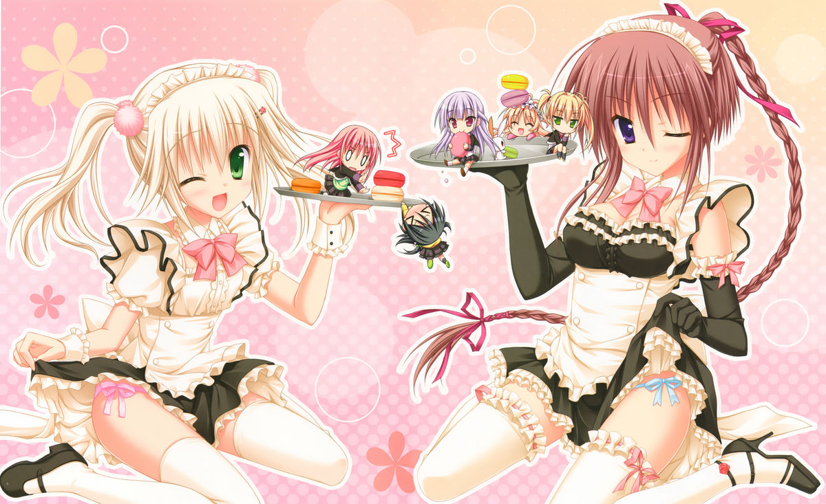 はつゆきさくら-白卒業-ビジュアルファンブック