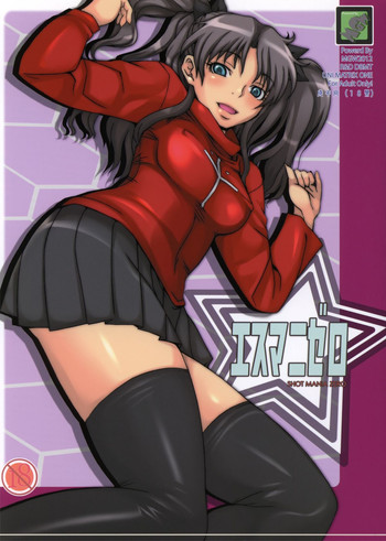 (C81) [MGW (位相同爆)] エスマニゼロ (Fate/stay night)