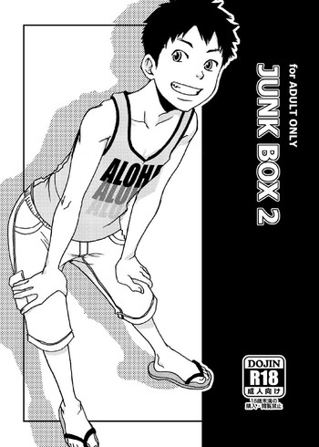【BOX(つくもごう)】ジャンクボックス2 【BOX(つくもごう)】ジャンクボックス2