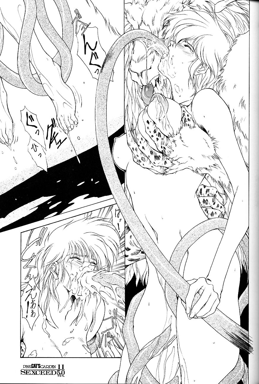 (C53) [PINK CAT'S GARDEN (雲助)] SEXCEED ver.5.0