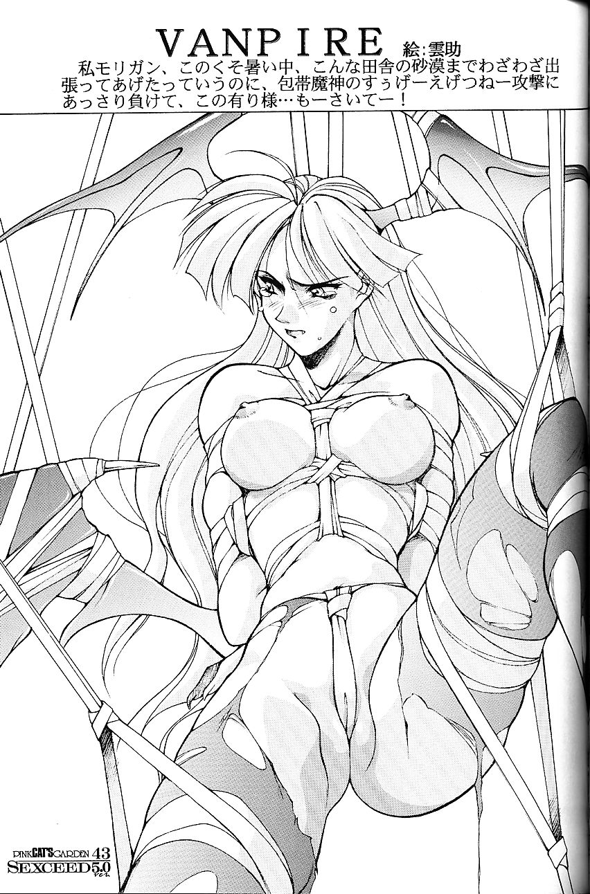 (C53) [PINK CAT'S GARDEN (雲助)] SEXCEED ver.5.0