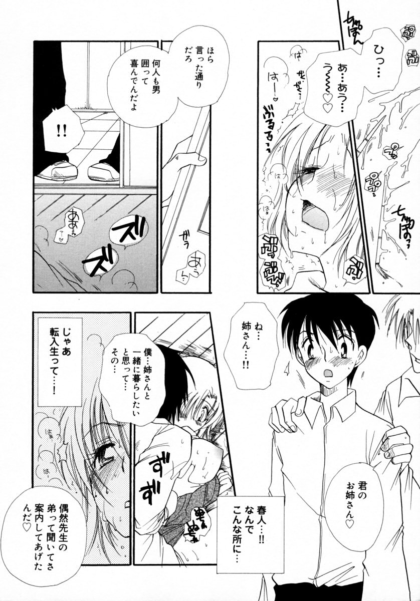 [BENNY'S] みるくぱい