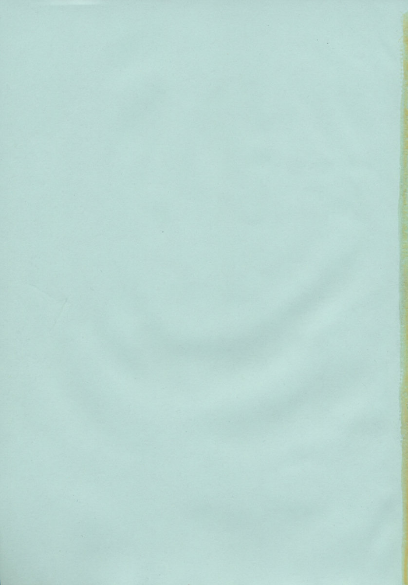 [BENNY'S] みるくぱい