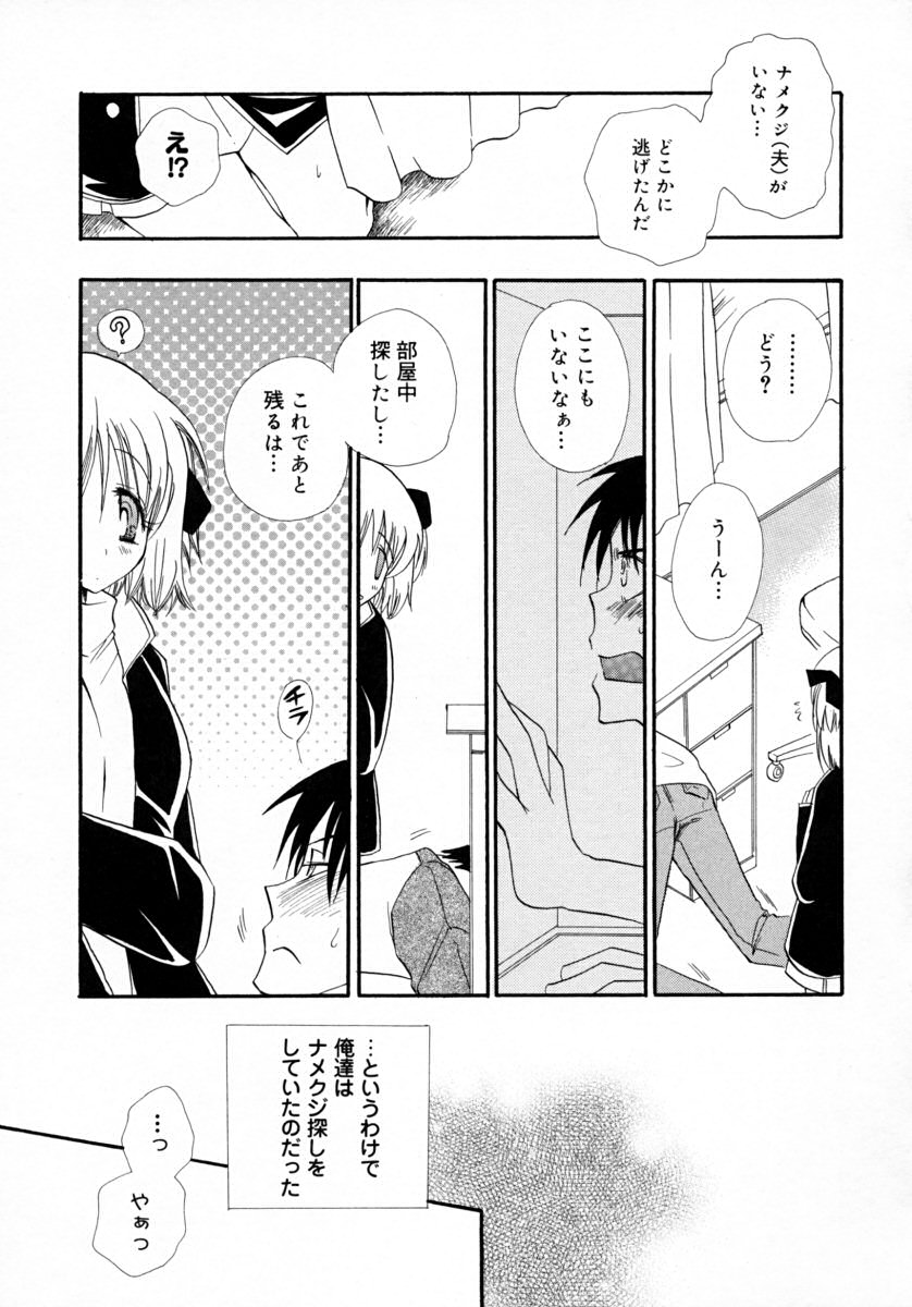 [BENNY'S] みるくぱい