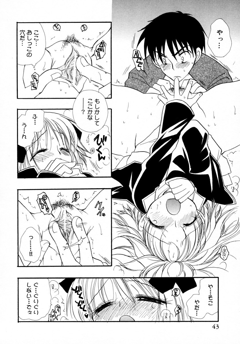 [BENNY'S] みるくぱい