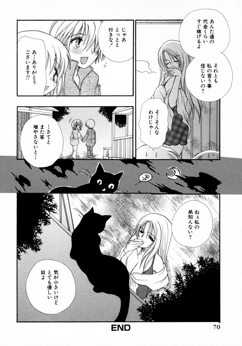 [BENNY'S] みるくぱい