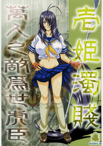 (C78) [釣りキチ同盟 (士臣佑介)] 壱姫濁賎 (一騎当千)