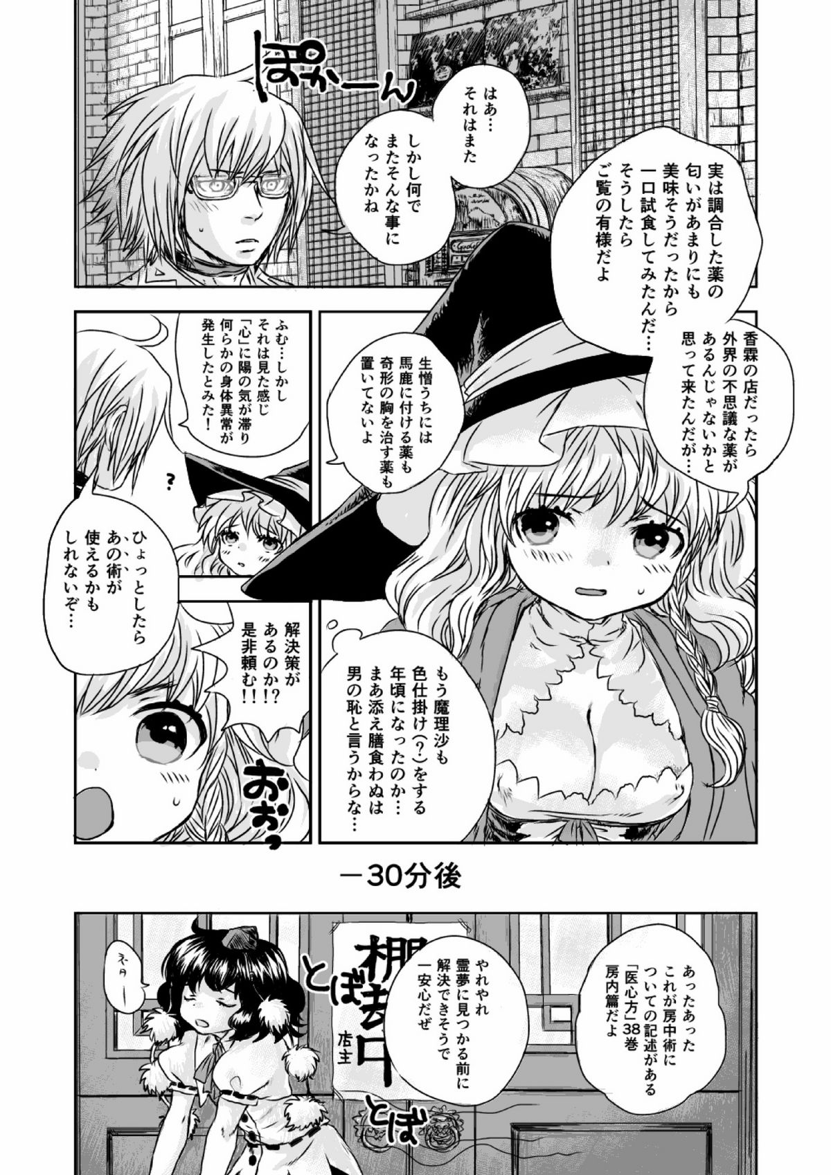 (例大祭9) [救世主症候群 (句読点)] metamorphose (東方 Project)