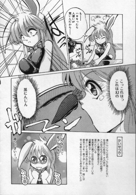 [葉月獅子丸] がんばれバニーちゃん